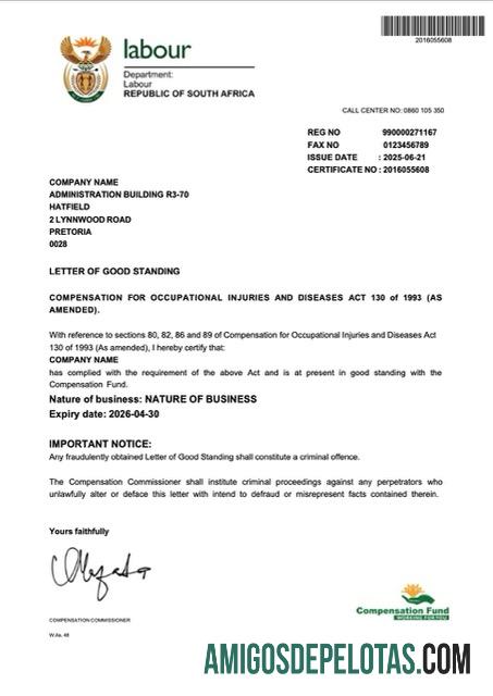 Carta de boa reputação da África do Sul para impressão, modelo Word e PDF